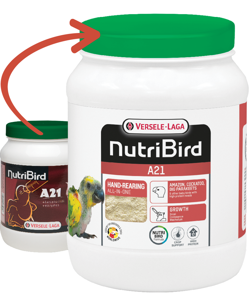 Versele Laga NutriBird A21 Yavru Elle Besleme Maması 800 Gr