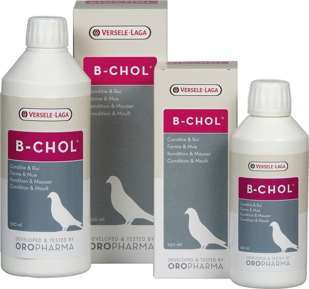 Versele Laga B-Chol Güvercin(Karaciğer Sağlığı) 500 ML