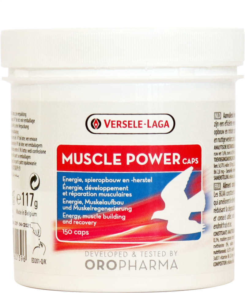 MUSCLE POWER