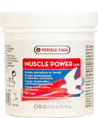 MUSCLE POWER