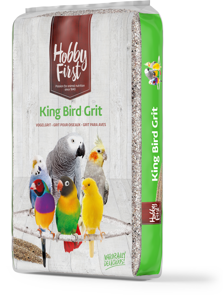 HOBBY FİRST KİNG