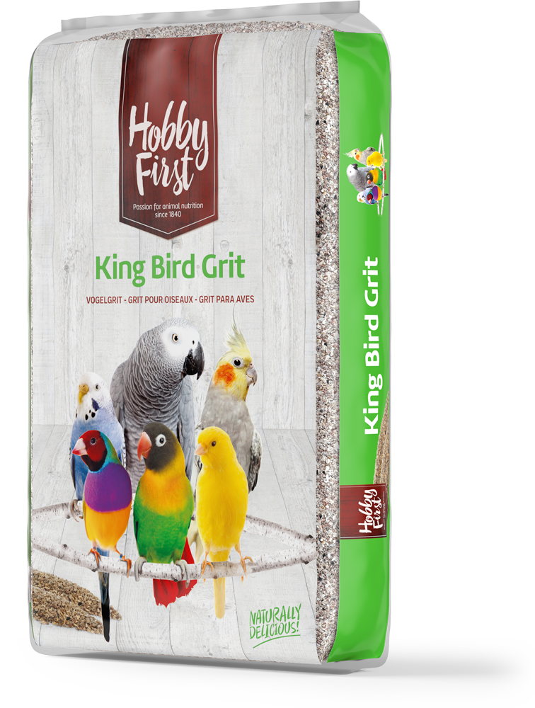 HOBBY FİRST KİNG