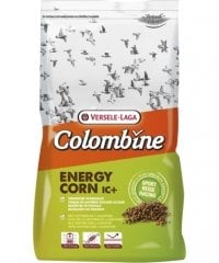 ENERGY CORN