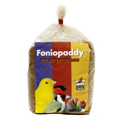 FONİOPADDY