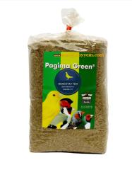 PAGİMA GREEN