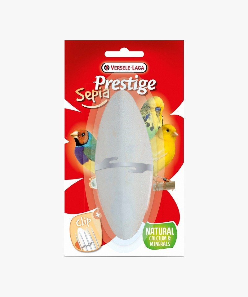 VERSELE LAGA SEPİA KALAMAR