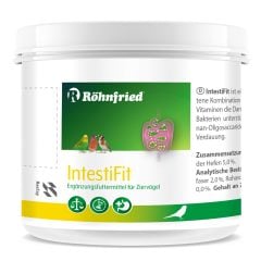 İNTESTİFİT