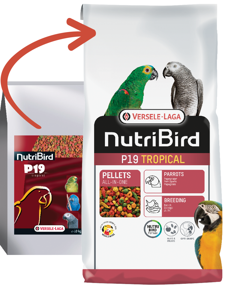 VERSELE LAGA NUTRIBIRD P19 TROPICAL 10KG