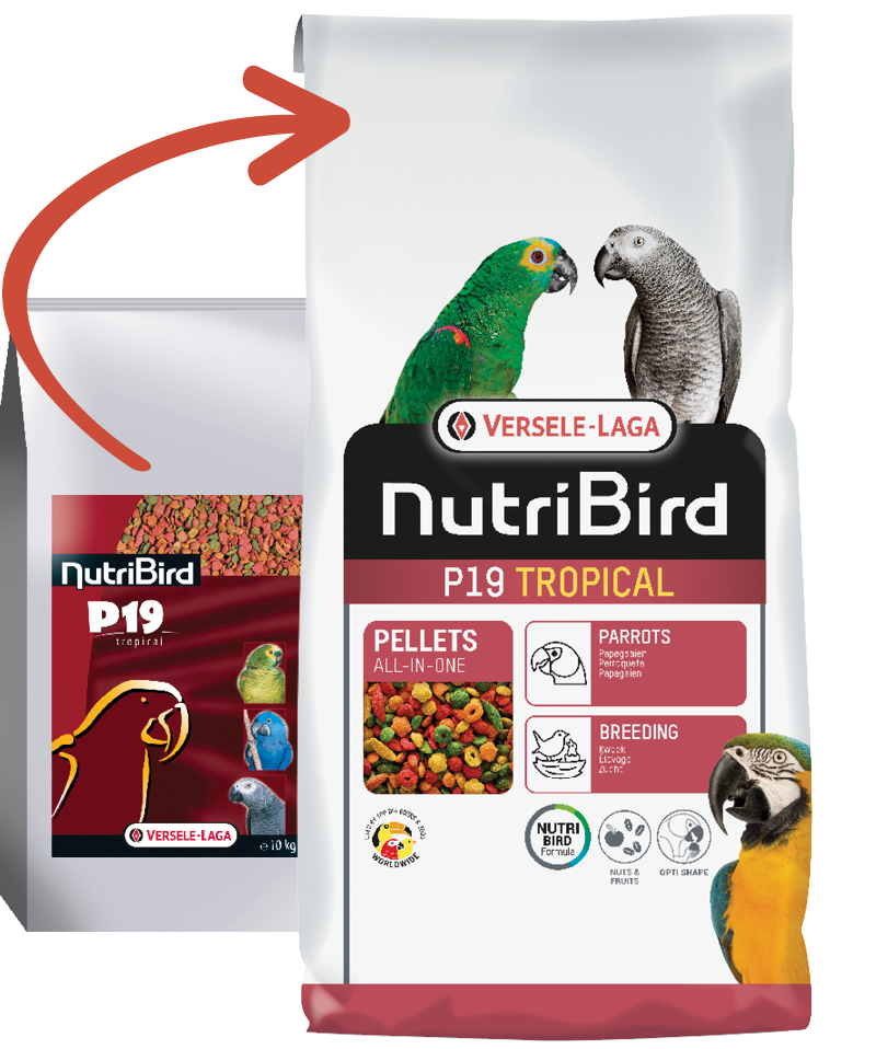 VERSELE LAGA NUTRIBIRD P19 TROPICAL 10KG