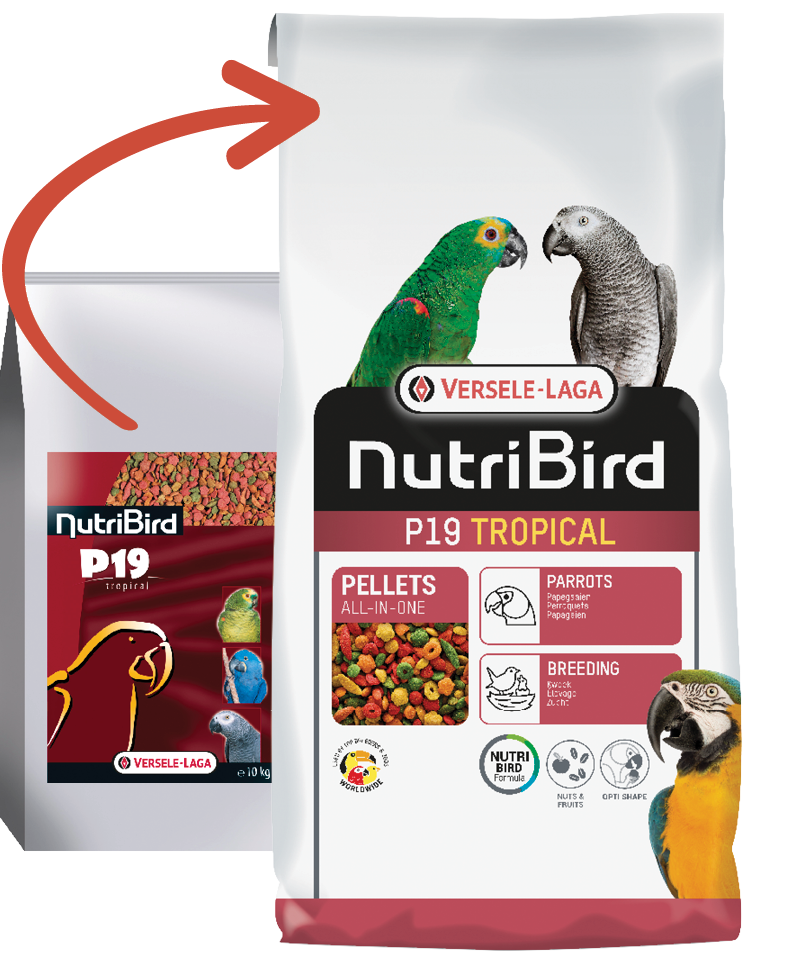 VERSELE LAGA NUTRIBIRD P19 TROPICAL 10KG
