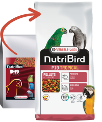VERSELE LAGA NUTRIBIRD P19 TROPICAL 10KG