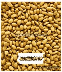 Versele Laga Nutribird P19 Orjinal Renksiz 10 kg