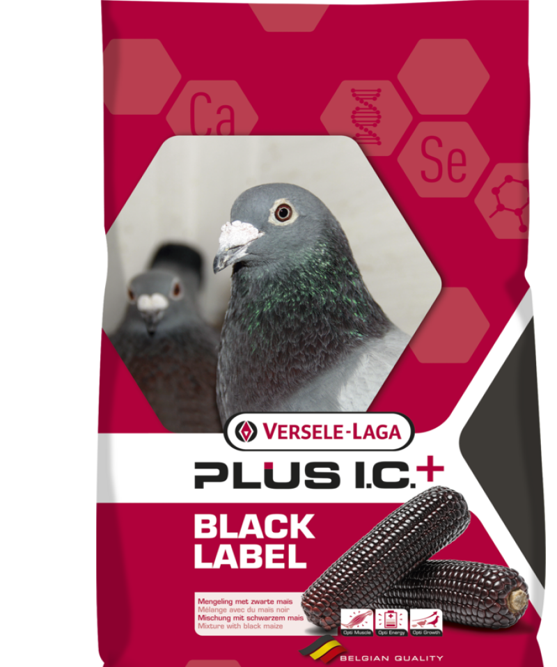 Versele Laga Gerry Plus 20 kg