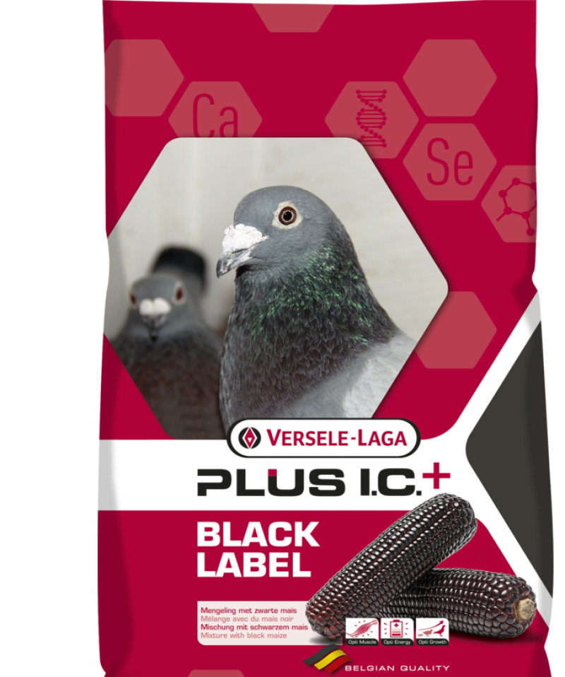 Versele Laga Gerry Plus 20 kg