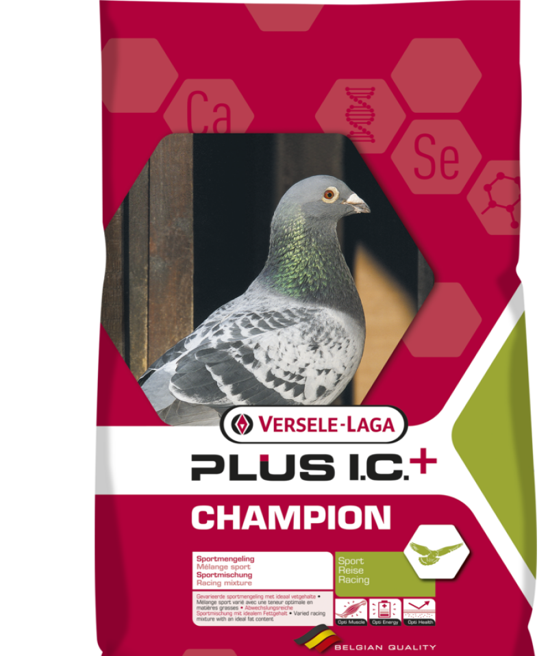 Versele Laga Champıon Plus 20 kg