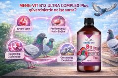 Meng-Vit B12 Ulutra B-complex Plus 250 ml