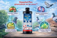 Meng-Vit Hepachol Plus 500 ml