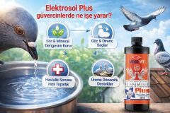 Meng-Vit Elektrosol Plus 500 ml