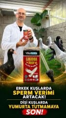 Vitaturka Libidox Drop – Altın Damla 60 ml