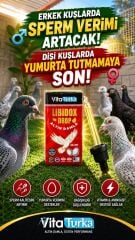 Vitaturka Libidox Drop – Altın Damla 60 ml
