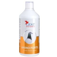 Cest Pharma Amıno Forte 1000 ml