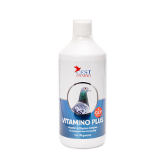 Cest Pharma Vıtamıno Plus 1000 ML