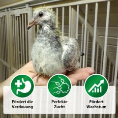 Röhnfried OptiBreed 600 g