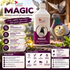 Cest Pharma Magıc 1000ml